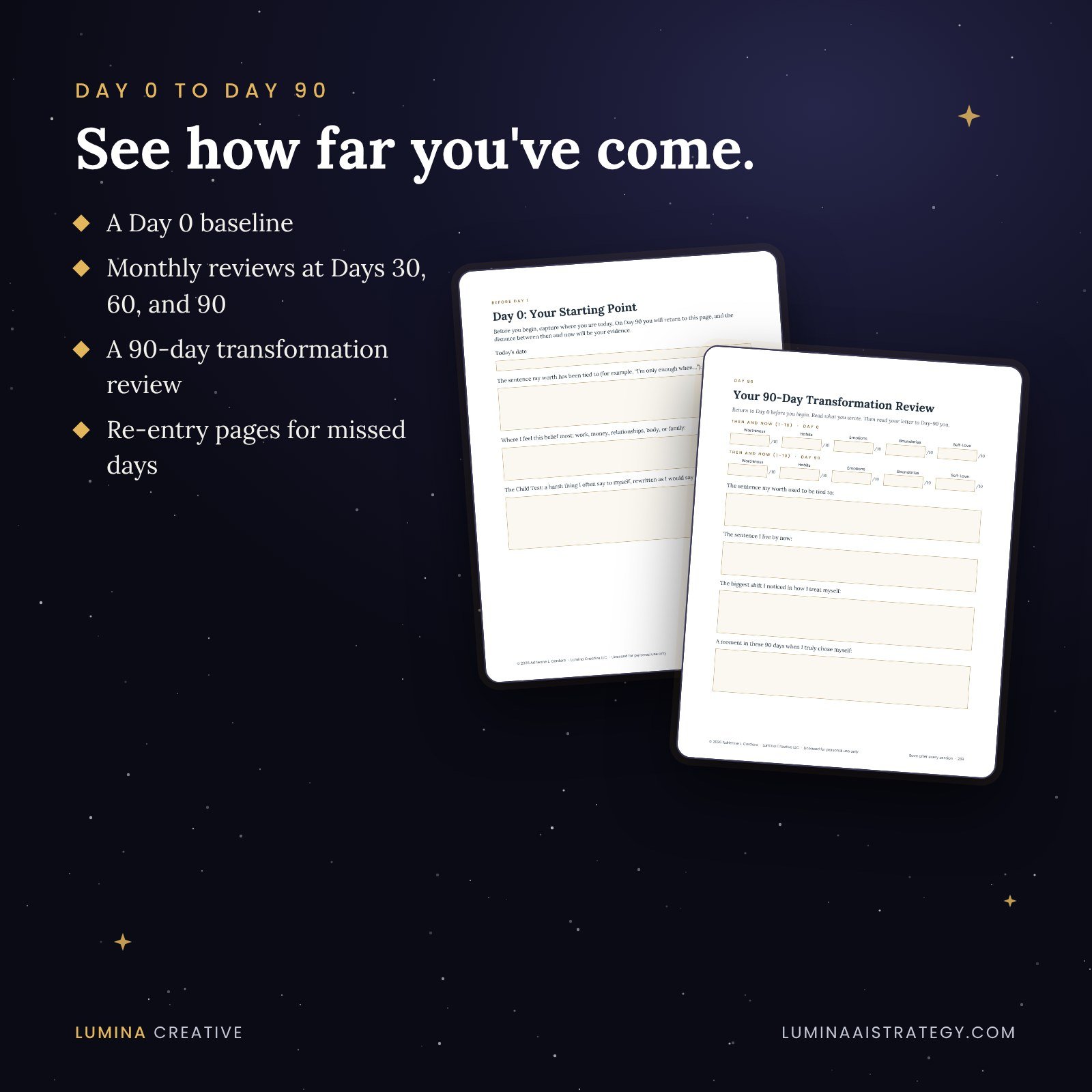 The Day 0 starting point page and the 90-Day Transformation Review page.